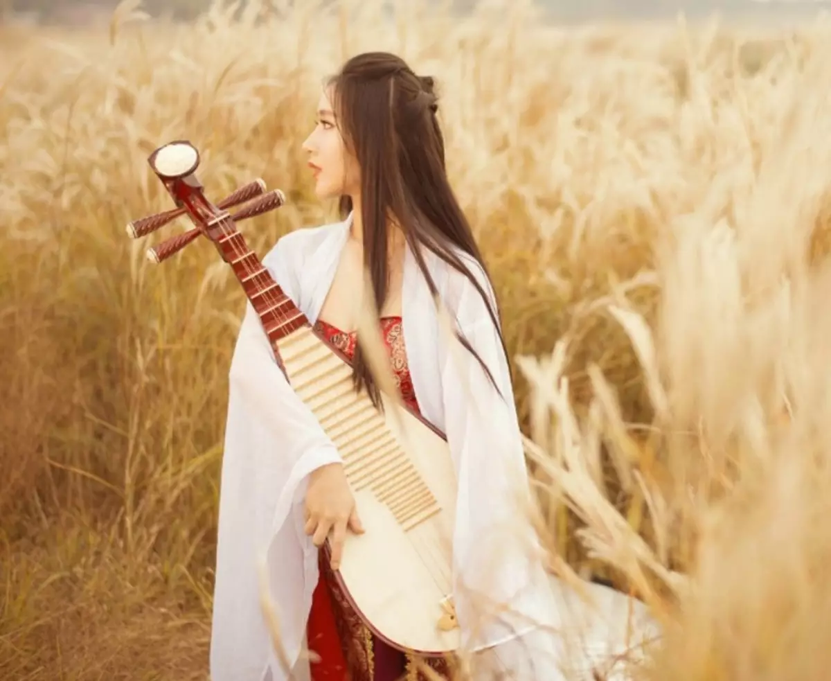 PIPA MUSICAL INSTRUMENT (18 foto's): Chinese toolbeschrijving, Geluidseigenschappen 25591_5