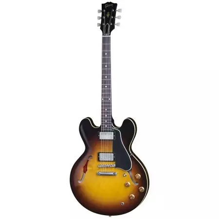 Semi-akustiske guitarer: de bedste semi-akustik elektriske guitarer, en vurdering af semi-akustiske basguitarer, strenge og dæksler, sorter 25594_20