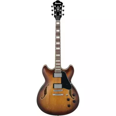 Полу-акустични китари: най-добрите полу-акустични китари, електрически рейтинг на полу-акустични китари, струнни и капаци, сортове 25594_24