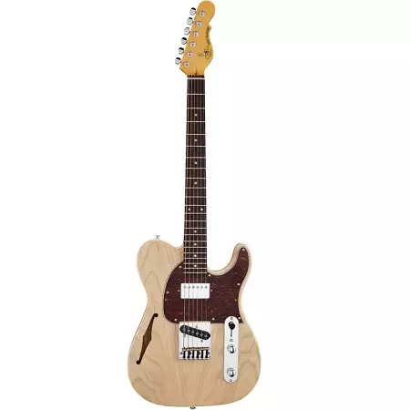 Semi-acoustic guitars: ang pinakamahusay na semi-acoustics electric guitars, isang rating ng semi-acoustic bass guitars, string at cover, varieties 25594_25