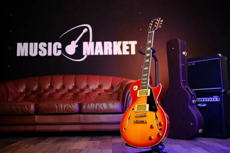 Semi-akustiske guitarer: de bedste semi-akustik elektriske guitarer, en vurdering af semi-akustiske basguitarer, strenge og dæksler, sorter 25594_9