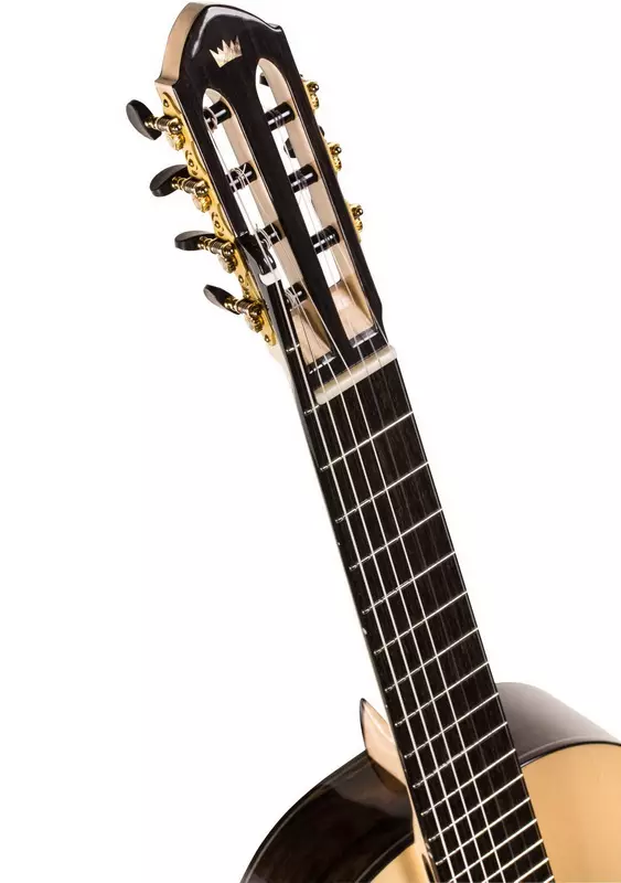 Severy Guitar (35 foto): Perbedaan antara gitar Rusia 7-string dari enam-string, apa yang lebih baik? Pelatihan gitar 7 string, klasik dan gitar lainnya 25596_12