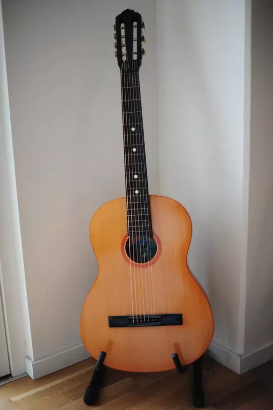 Severy Guitar (35 foto): Perbedaan antara gitar Rusia 7-string dari enam-string, apa yang lebih baik? Pelatihan gitar 7 string, klasik dan gitar lainnya 25596_5