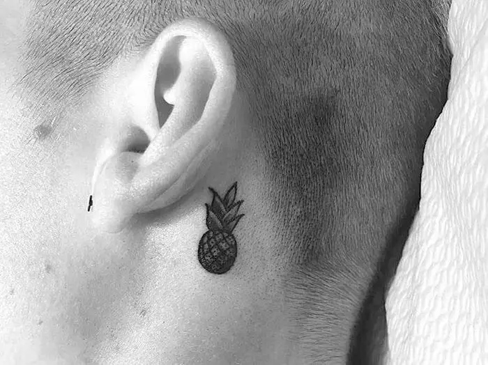 纹身“菠萝”：纹身和意义的草图，腿部，手和身体的其他部位的小而大纹身 256_33