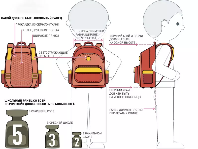 Backpacks na baya (106 hotuna): Bagge-baya na baya ga yara da kan ƙafafun, ƙananan da babba, fata da filastik, tare da allo kuma ba tare da 2573_100