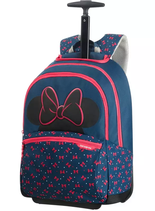 Backpacks na baya (106 hotuna): Bagge-baya na baya ga yara da kan ƙafafun, ƙananan da babba, fata da filastik, tare da allo kuma ba tare da 2573_81