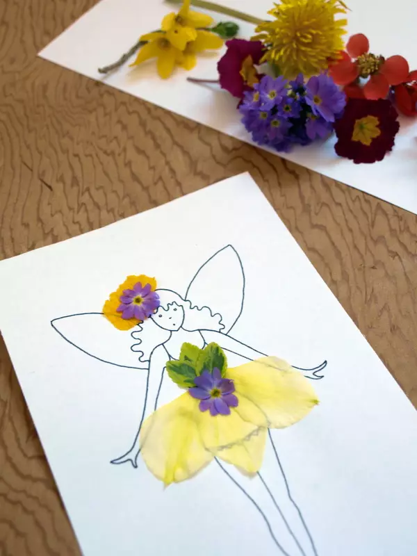 Kunsthandwerk aus Blumen: von lebendig und trocken. Herbst-Kunsthandwerk tut es dich im Kindergarten und in der Schule für die Ausstellung. Wie schnell Blumen für Handwerk trocken? 25988_26