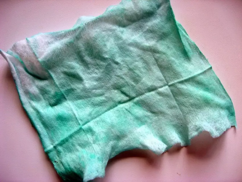 Thủ công từ khăn ăn: các ứng dụng làm bằng khăn giấy bằng tay của bạn. Làm thế nào để làm hoa mùa thu với trẻ em 5-6 và 7 tuổi? Cây từ Napkins và Chi nhánh Rowan 25992_21