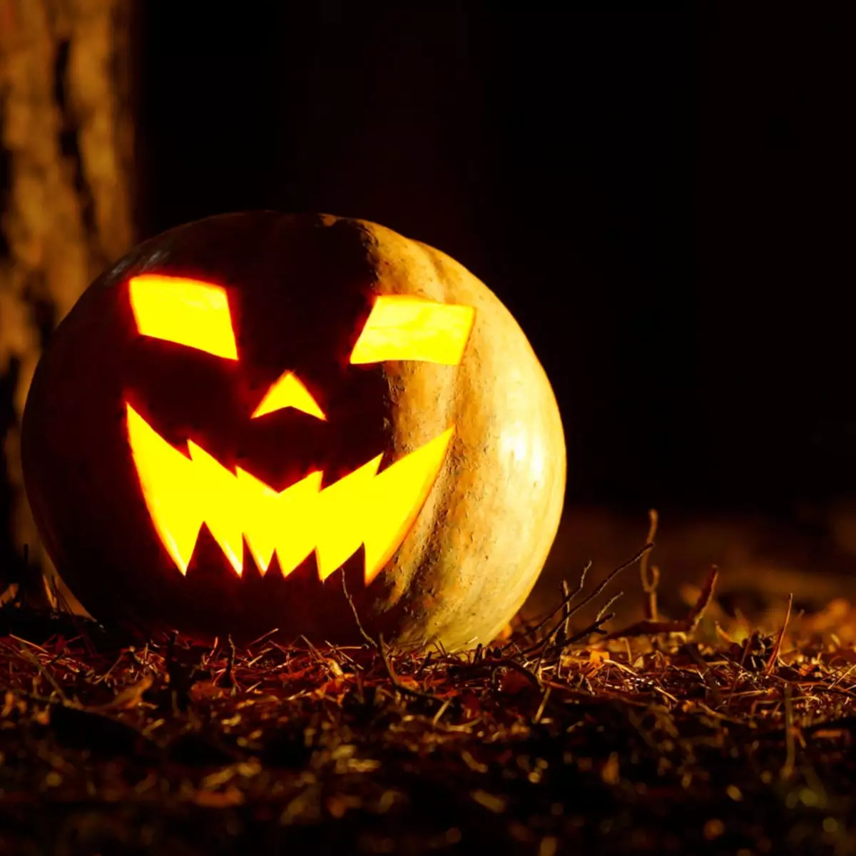 Labu pada Halloween (37 foto): Apakah simbol labu? Legenda tentang mengapa labu mula melambangkan Halloween. Bagaimana ia dipotong? 26014_12