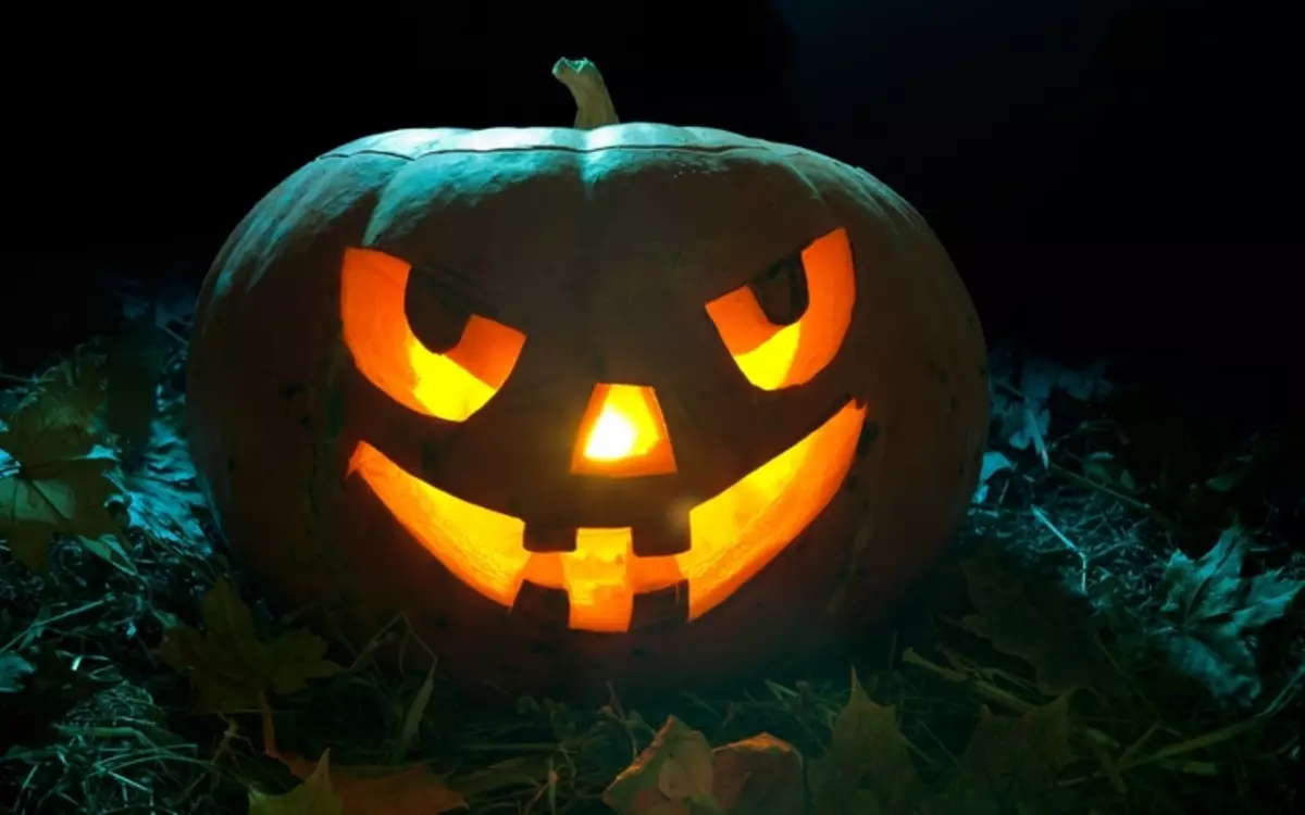 Pumpkin li ser Halloween (37 Wêneyên): Sembola Kulikê çi ye? Efsanewî ya ku çima pumpkin dest pê kir ji bo sembola Halloween. Ew çawa qut e? 26014_24