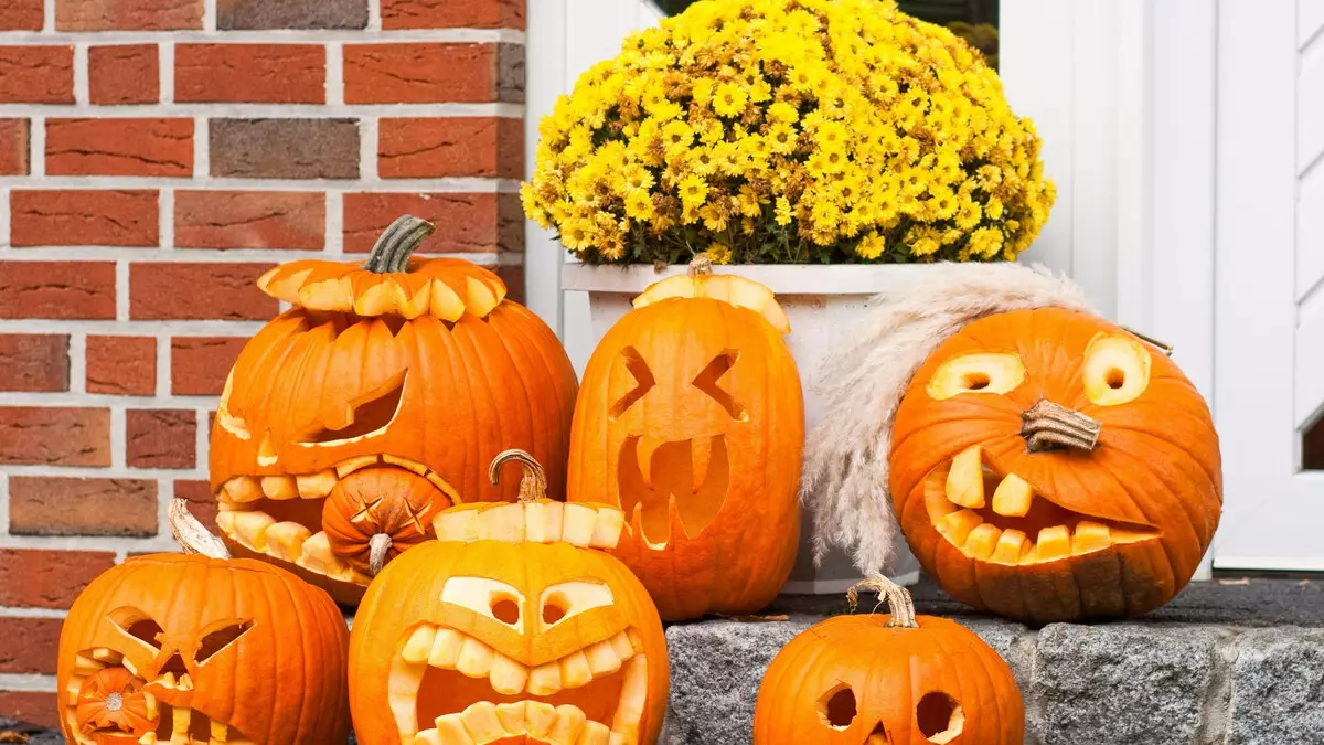 Pumpkin li ser Halloween (37 Wêneyên): Sembola Kulikê çi ye? Efsanewî ya ku çima pumpkin dest pê kir ji bo sembola Halloween. Ew çawa qut e? 26014_25