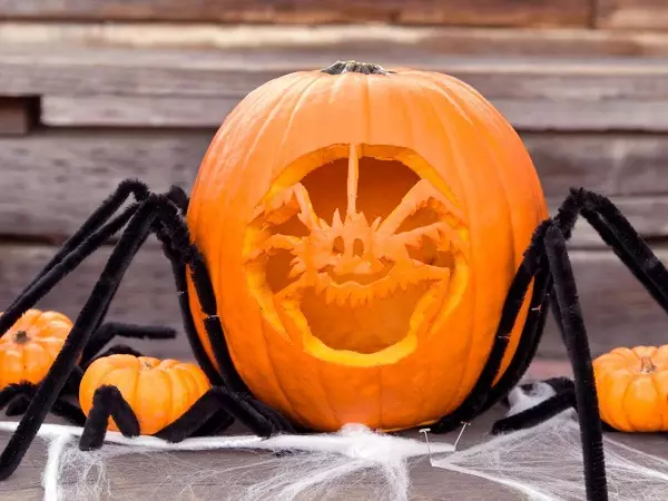 Pumpkin na noč čarovnic (37 fotografij): Kaj je simbol buče? Legenda o tem, zakaj je buča začela simbolizirati halloween. Kako se odreže? 26014_3