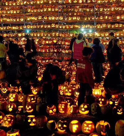 Labu pada Halloween (37 foto): Apakah simbol labu? Legenda tentang mengapa labu mula melambangkan Halloween. Bagaimana ia dipotong? 26014_37