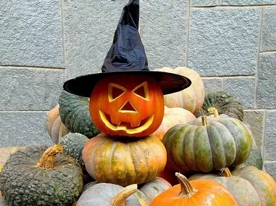 Pumpkin li ser Halloween (37 Wêneyên): Sembola Kulikê çi ye? Efsanewî ya ku çima pumpkin dest pê kir ji bo sembola Halloween. Ew çawa qut e? 26014_4