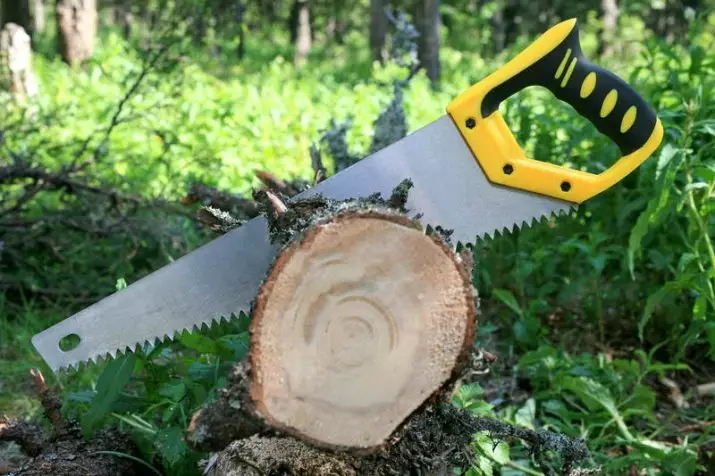 Artisanat de Svilov Arbres (77 photos): Artisanat d'automne avec leurs propres mains, idées pour la maternelle et pour donner, hibou de coupes et autres artisanats de matériau naturel 26043_10