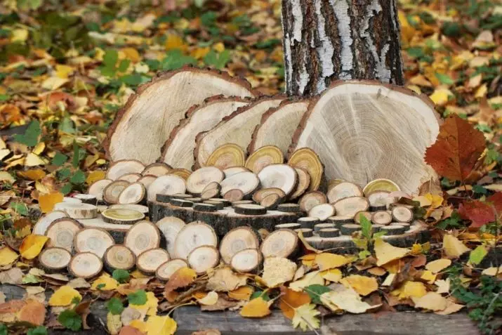 Svilovの木からの工芸品（77写真）：秋の工芸品、幼稚園のためのアイデア、そして自然素材からのカットやその他の工芸品のためのアイデア、フクロウ 26043_3