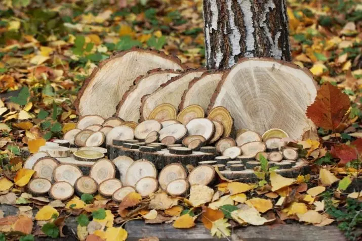 Artisanat de Svilov Arbres (77 photos): Artisanat d'automne avec leurs propres mains, idées pour la maternelle et pour donner, hibou de coupes et autres artisanats de matériau naturel 26043_3