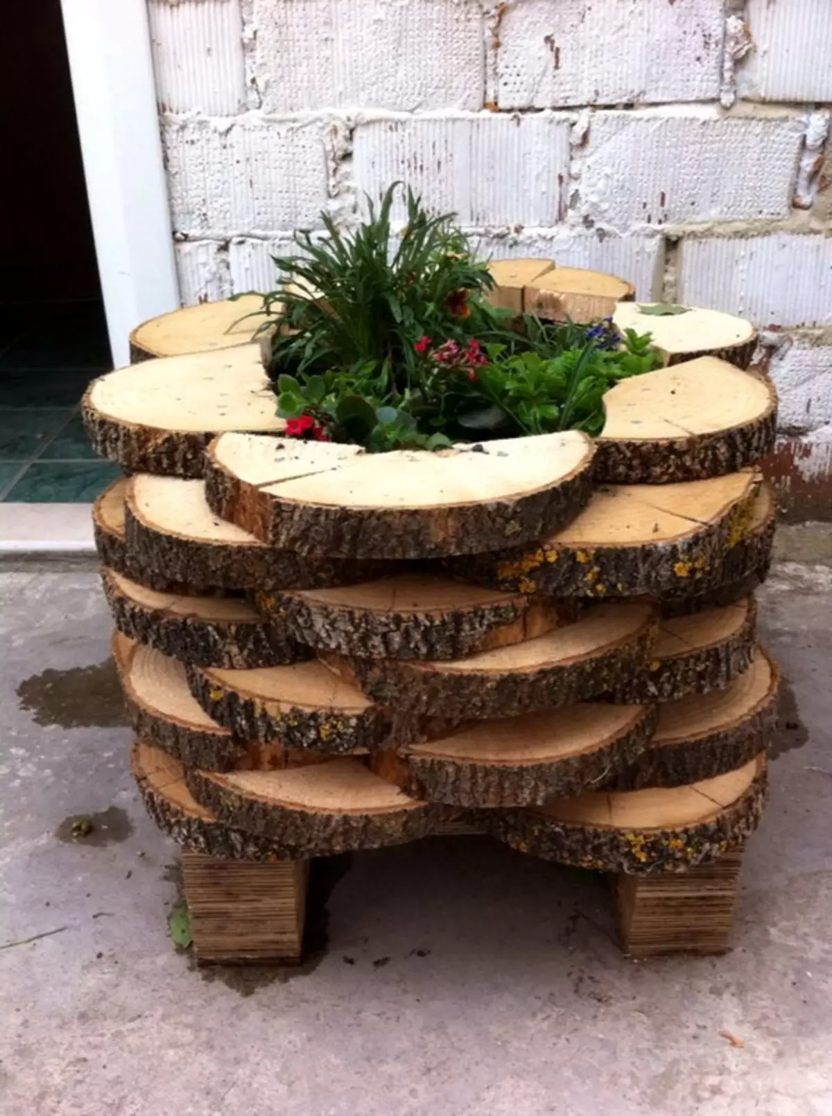 Artigianato dagli alberi di Svilov (77 foto): Artigianato autunnale con le loro mani, idee per la scuola materna e per dare, gufo da tagli e altri mestieri dal materiale naturale 26043_73