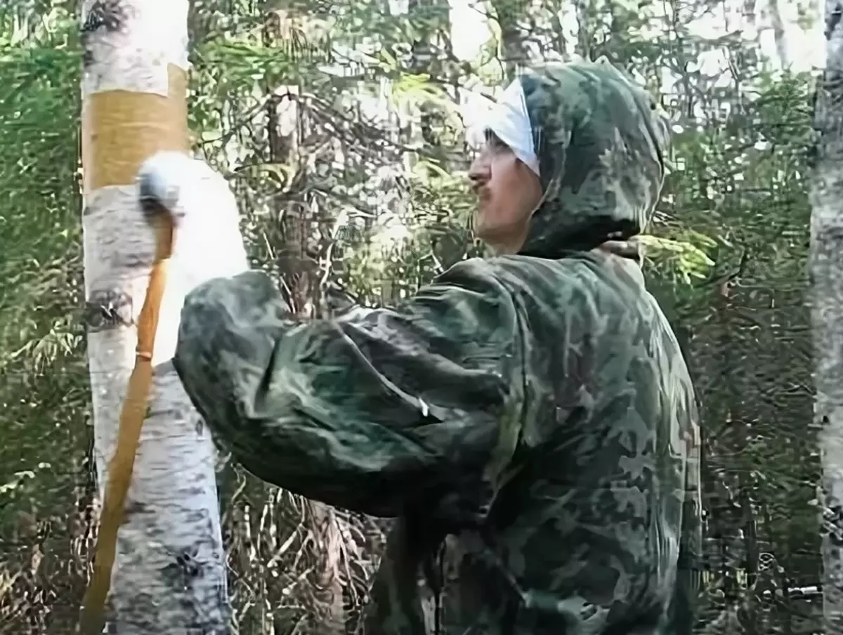 Obrt iz Berestova (59 fotografij): Kaj počnete z lastnimi roki za začetnike v vrtcu? Kako pripraviti breza breza in ga obdelati? Obrti za notranjost 26054_23
