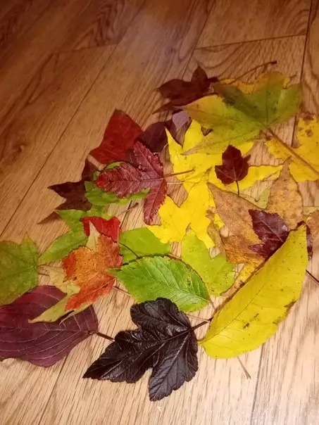 Crafts from Maple Leaves (119 fotó): Crafts a saját kezével az őszi témában a gyermekek, az oroszlán és rózsák, hernyó és más kézművesek az óvodában és az iskolában. Hogyan lehet frissíteni a leveleket frissen? 26115_104