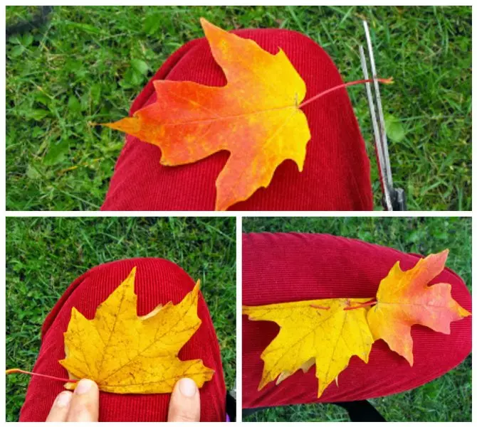 Kerajinan dari Maple Leaves (119 foto): Kerajinan dengan tangan mereka sendiri pada topik musim gugur untuk anak-anak, singa dan mawar, ulat dan kerajinan lainnya di taman kanak-kanak dan ke sekolah. Bagaimana cara menyelamatkan daun segar? 26115_61