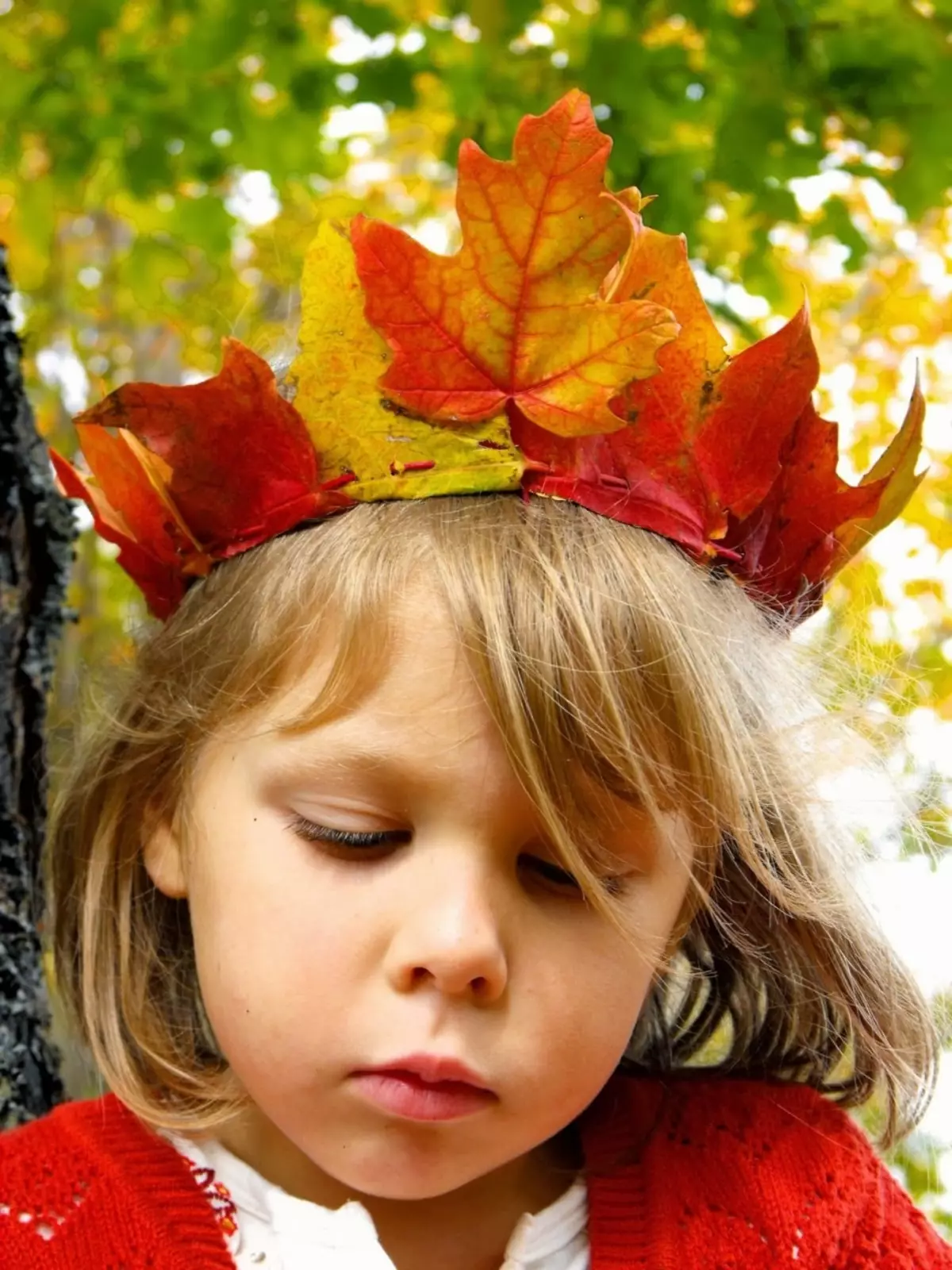 Artesanía de hojas de arce (119 fotos): artesanía con sus propias manos sobre el tema de otoño para niños, leones y rosas, oruga y otras artesanías en kindergarten y escolar. ¿Cómo ahorrar hojas frescas? 26115_63