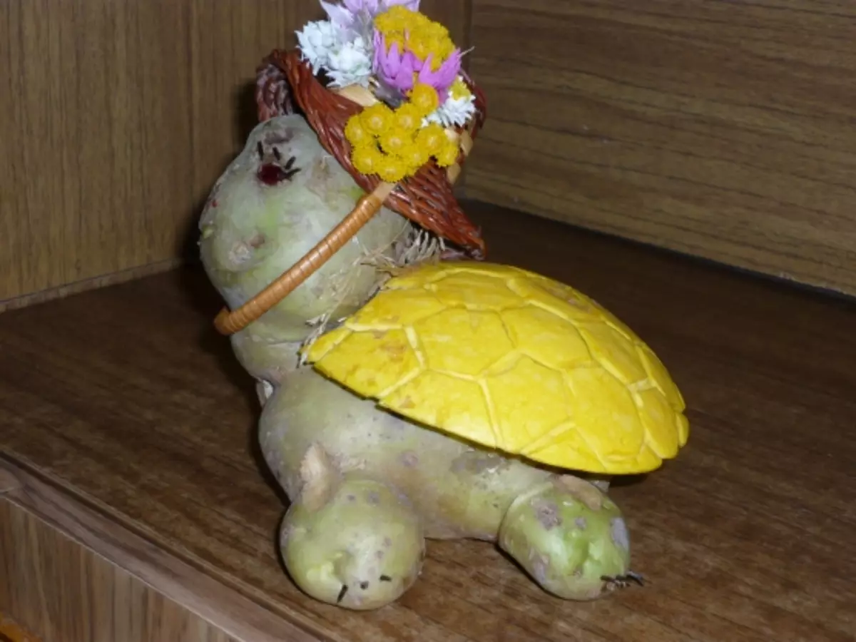 Черепаха Тортилла из патиссона