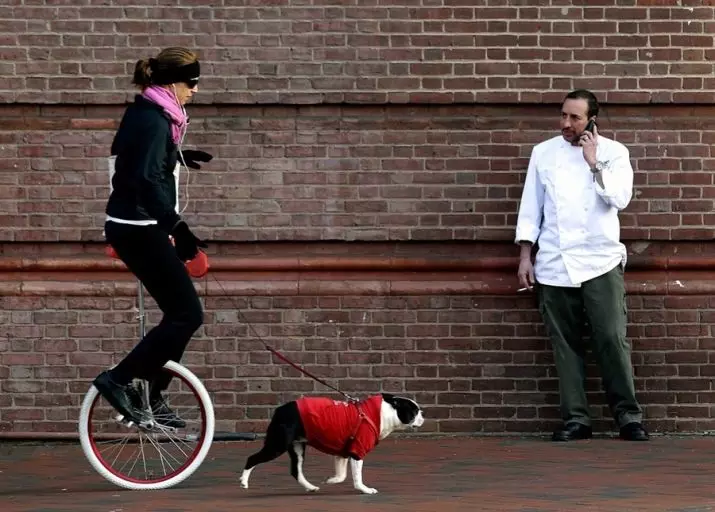 Monocycle: Hva er navnet på The Unicycle (Single Bike)? Oversikt over elektriske modeller. Hvordan lære å ri? 26188_2