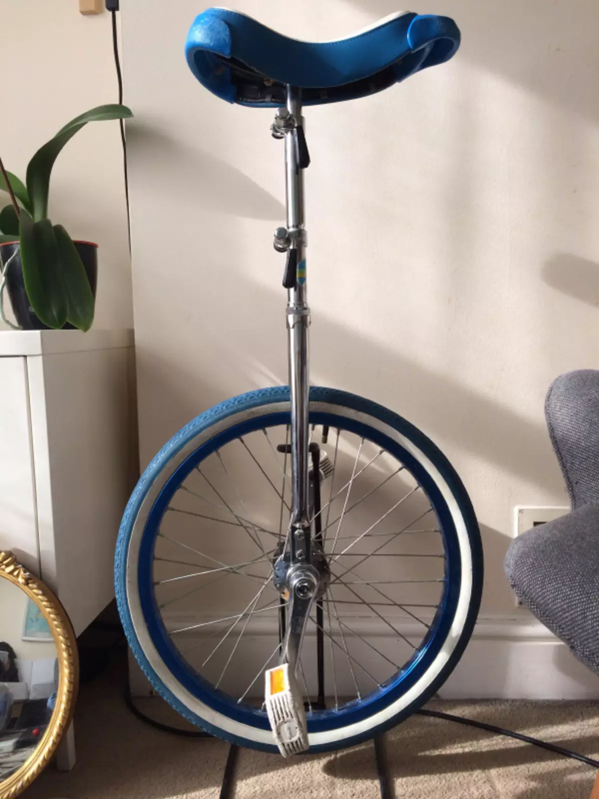 Моноцикъл: Какво е името на Unicycle (единичен велосипед)? Преглед на електрическите модели. Как да се научите да яздите? 26188_62