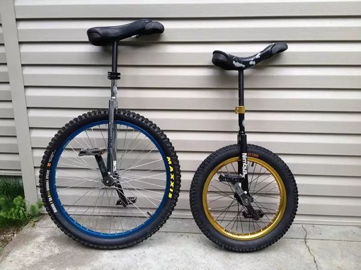 Monocycle: Tek tekerlekli bisikletin adı (tek bisiklet)? Elektrik modellerine genel bakış. Nasıl Binmek Öğrenilir? 26188_64