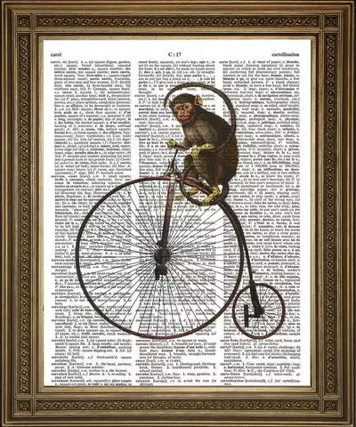 Monocycle: Hva er navnet på The Unicycle (Single Bike)? Oversikt over elektriske modeller. Hvordan lære å ri? 26188_7