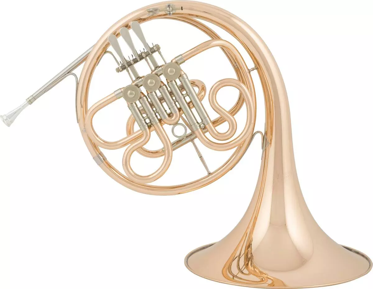Franse Horn (28 foto's): Goue skuif van die Musical Brass Tool. Wat dit is? Opleidingspel en klank. Hoe lyk horing? 26193_11