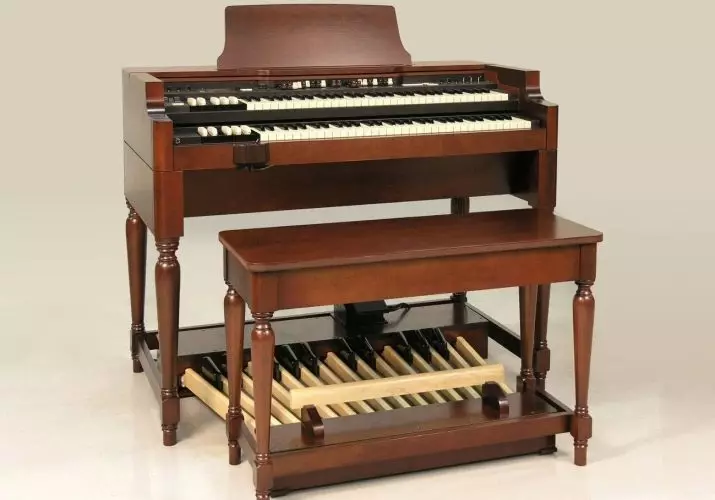 Électriciens: Description de l'instrument de musique, fabricants d'organes électriques 26206_7