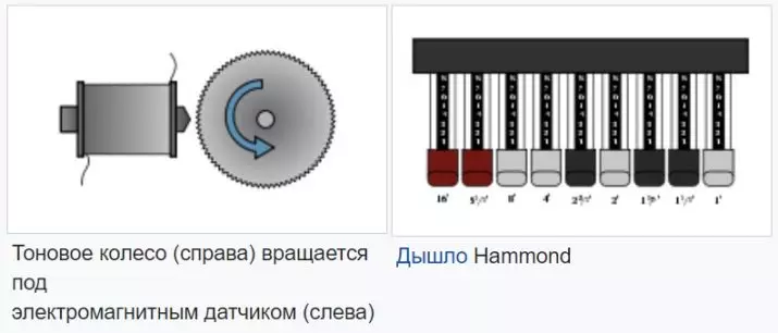 Electricians: Përshkrimi i instrumentit muzikor, prodhuesit e organeve elektrike 26206_8