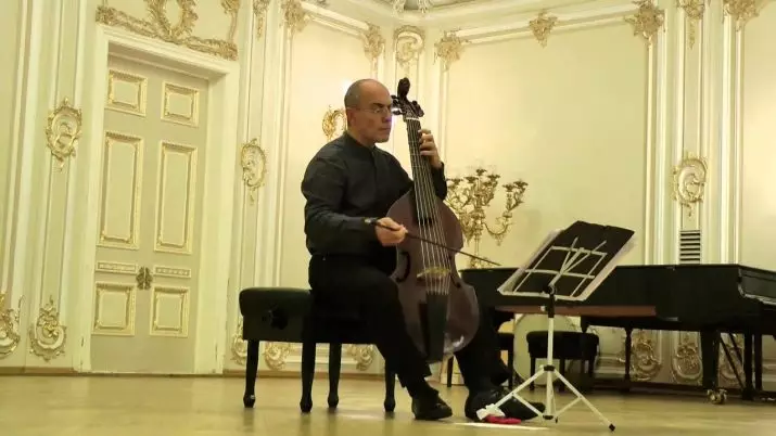 Viola da Gamba: Historien om det musikalske instrument og dets betydning. Hvad var? 26218_12