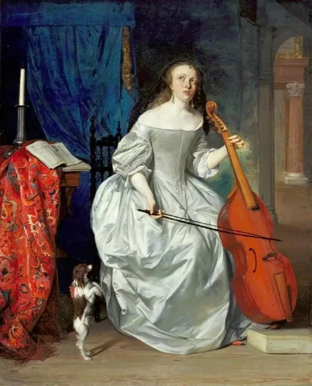 Виола Да Гамба: Хөгжмийн зэмсэг ба түүний утгатай түүх. Гэж юу вэ? 26218_3