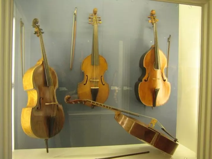 Viola da Gamba: Historien om det musikalske instrument og dets betydning. Hvad var? 26218_7