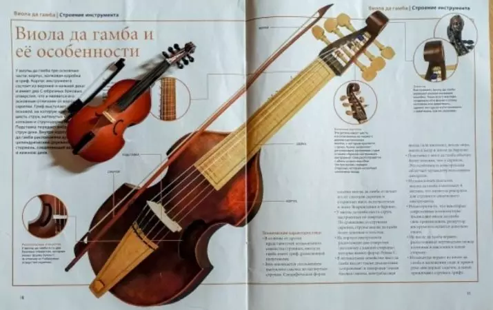Viola da Gamba: Historien om det musikalske instrument og dets betydning. Hvad var? 26218_8