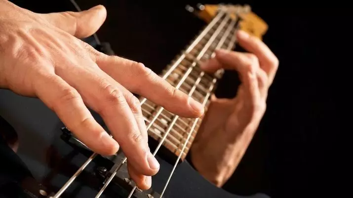 Guitarras para Fingerstyle: os mellores modelos de arriba, a altura da corda sobre o voitre. Como elixir? Tamaños de guitarras fingerstyle acústicos e outros 26232_4