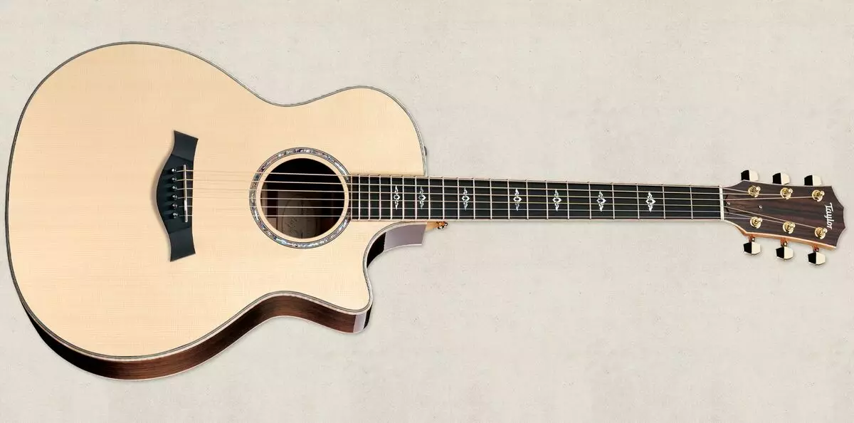 Guitars alang sa tudlo: ang labing kaayo nga labing maayo nga mga modelo, ang gitas-on sa pisi sa buwitre. Giunsa pagpili? Mga gidak-on sa acoustic ug uban pang mga tudlo sa tudlo 26232_8