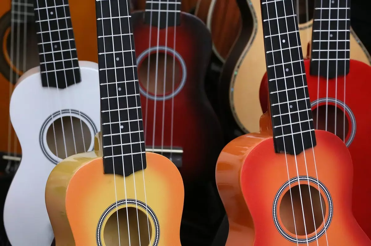 Gitar Boyutları: 1/2 ve 38 inç, 1/4 ve 1/8, standart parametreler. Nasıl seçilir ve tanımlanır? Gitar nedir? 26240_4