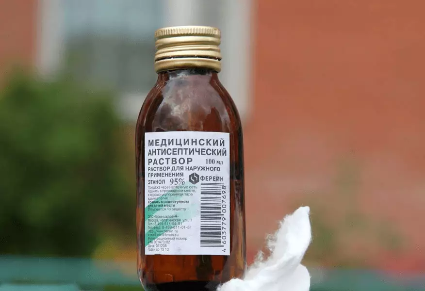 Lemon Oil foar gitaar: Hoe te brûken en hoe kinne jo oalje ferfange troch in apotheek? Wêrom is it nedich? Ferwurkjen fan it roaster en de gearstalling fan 'e essensjele oalje 26243_13