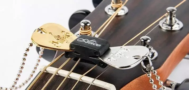 吉他配件和仪器：需要什么样的碎片？攻击和其他灯具用于播放，钥匙和斗篷，配件和手套 26244_4