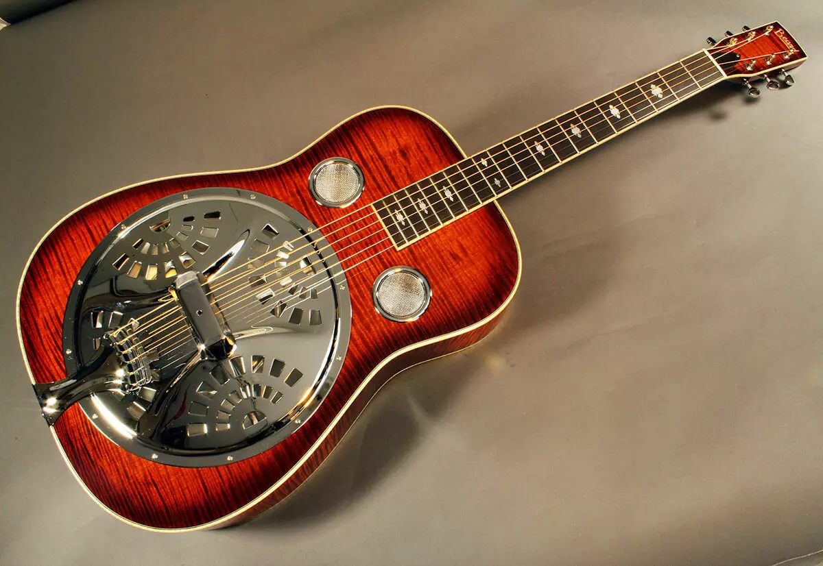 Guitator ya Resonator: Resonator, igikoresho cya muzika kiranga ibyiza, abakora & tekinoroji 26250_2