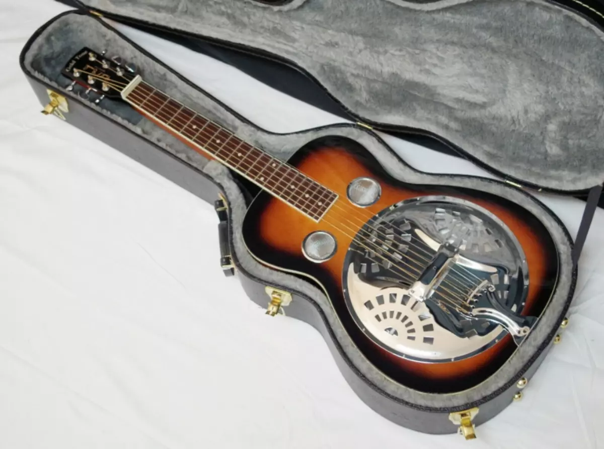 Guitator ya Resonator: Resonator, igikoresho cya muzika kiranga ibyiza, abakora & tekinoroji 26250_5