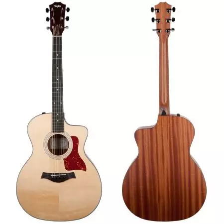 Rezaná gitara: Akustická, Classic 12-String a ďalší model. Prečo potrebujete cutway (Carway)? Čo je to lepšia gitara bez výrezu? 26251_14