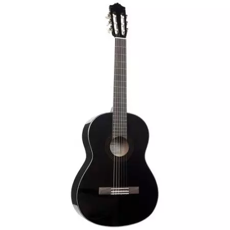 Černá kytara: klasický šest-řetězec a další kytaru, bílá a červeno-černá barva, matný a lesk 26252_21