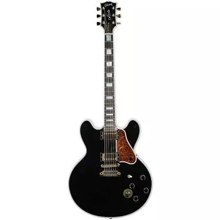 ब्लैक गिटार: क्लासिक छह-स्ट्रिंग और अन्य गिटार, सफेद और लाल-काला रंग, मैट और चमक 26252_28