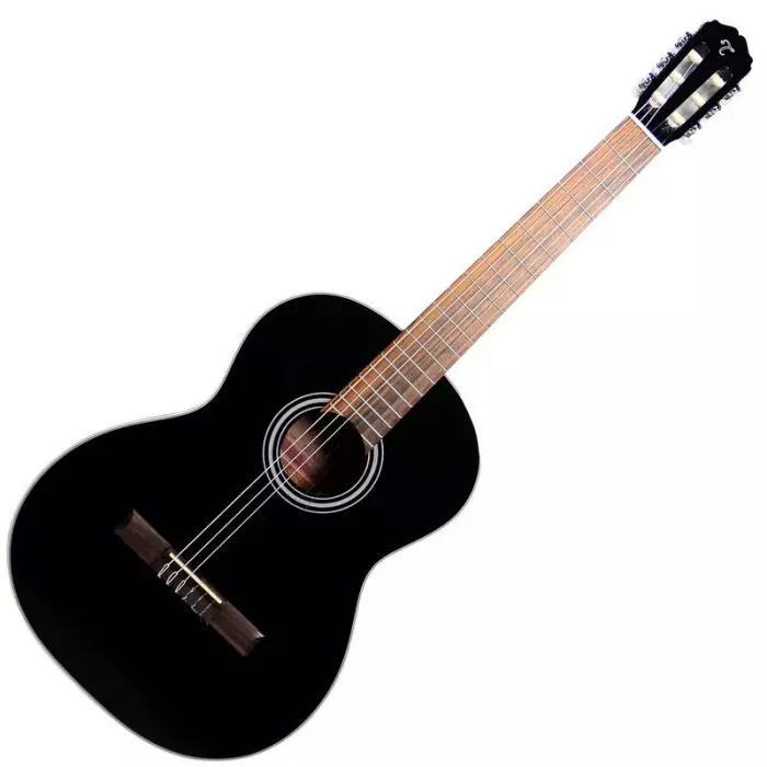 Black Guitar: Classic isii na Guitar ndị ọzọ, na-acha ọcha na agba ojii, matte na gloss 26252_6