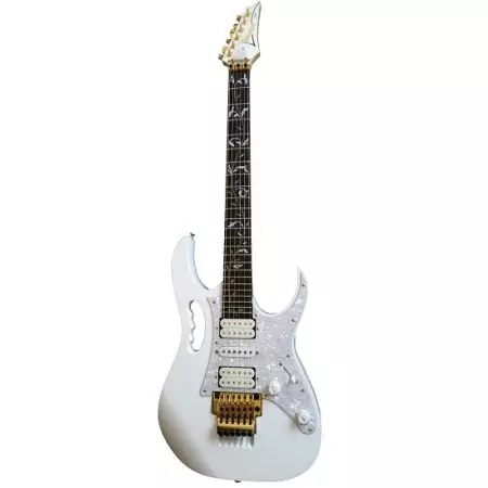 Rock Guitar (Picha 24): Rocker Electric Gitaa kwa Metal Game. Inaonekanaje kama? Red na nyingine guitar ambayo wanamuziki wa Rock wanacheza. 26255_9